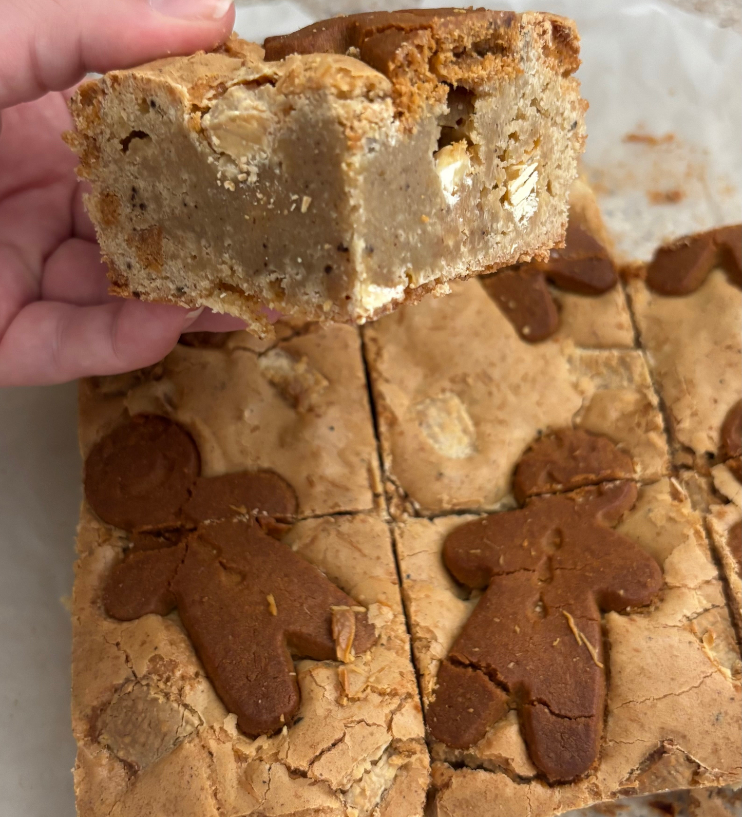 Gingerbread & White Chocolate Cookie Dough Bar